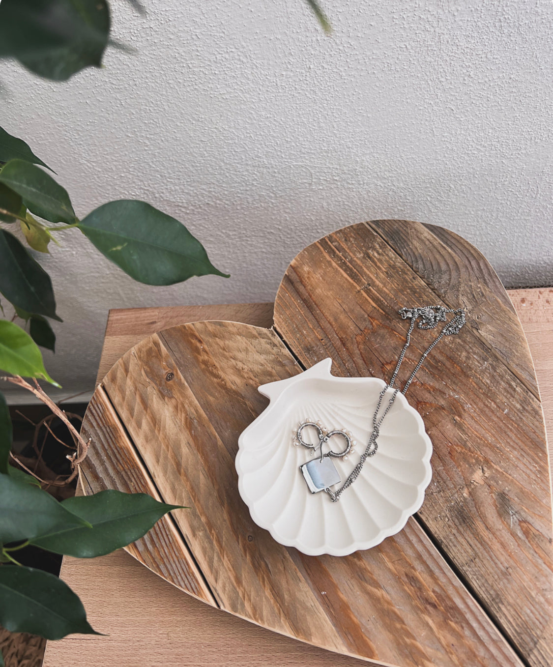 Conchiglia Seychelles