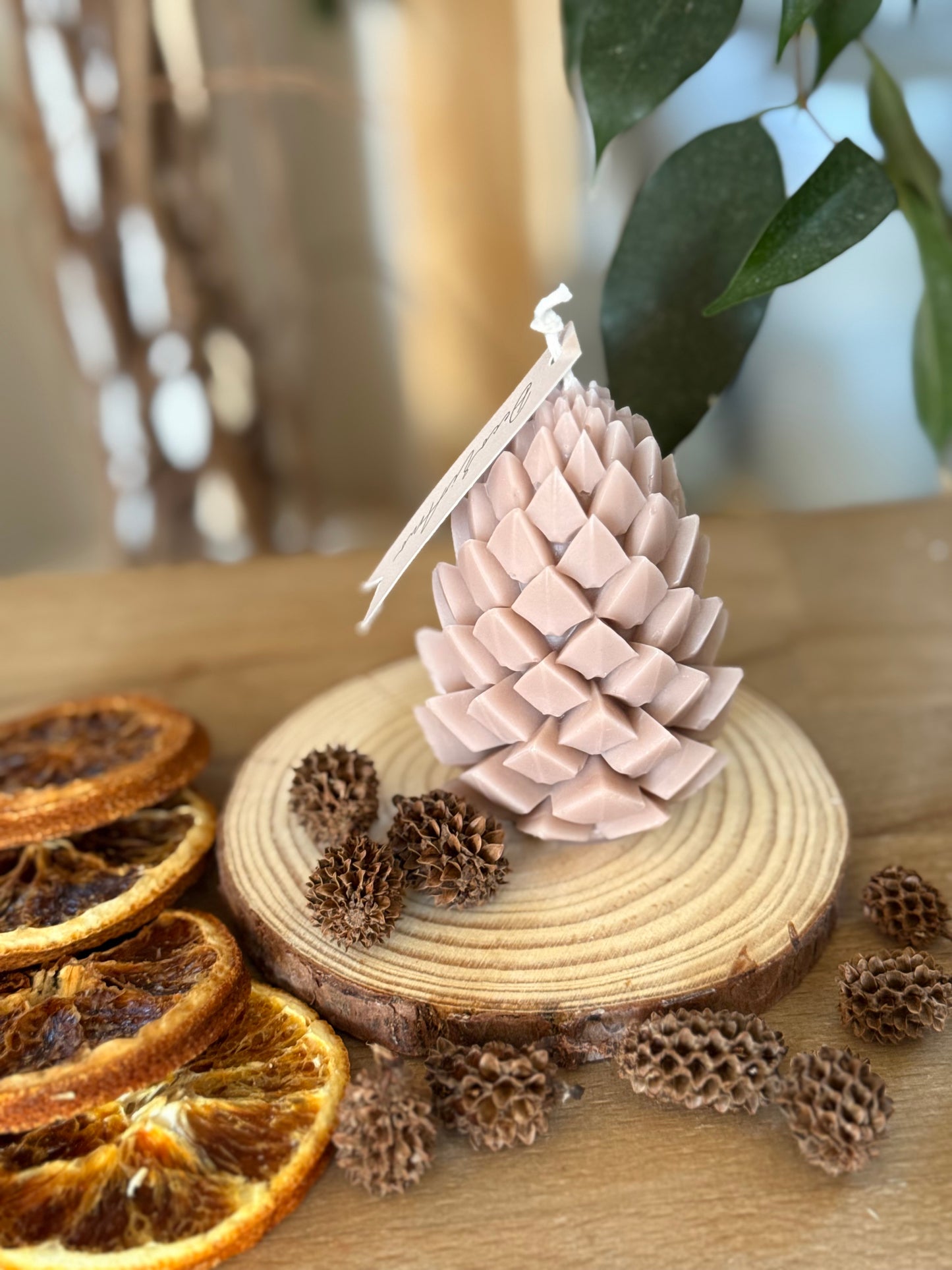 Magia di Pigna