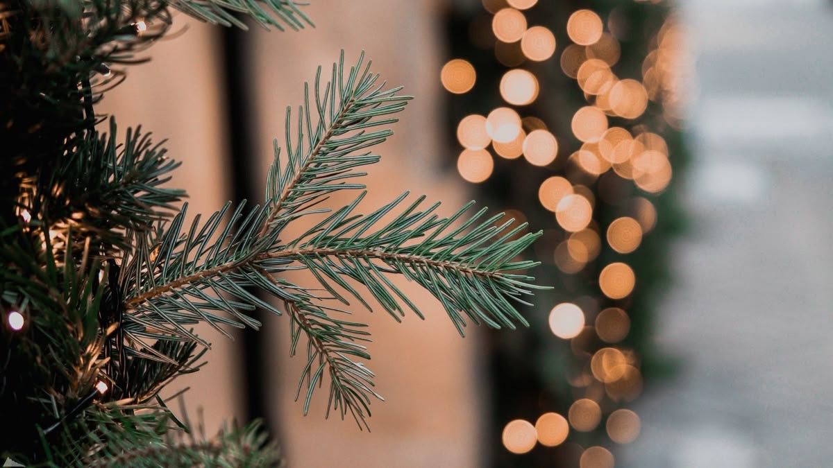 Christmas Collection