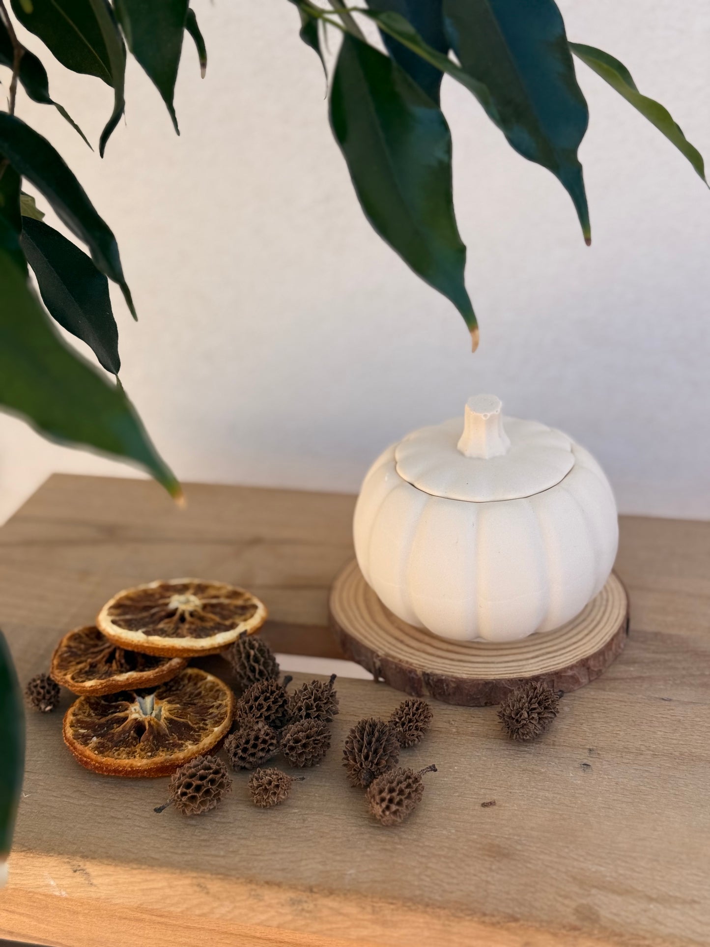 Zucca Speziata