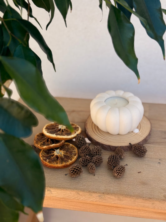Zucca Mini Spezia